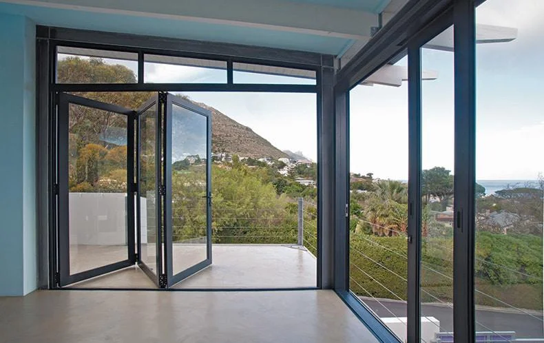 Aluminum Doors