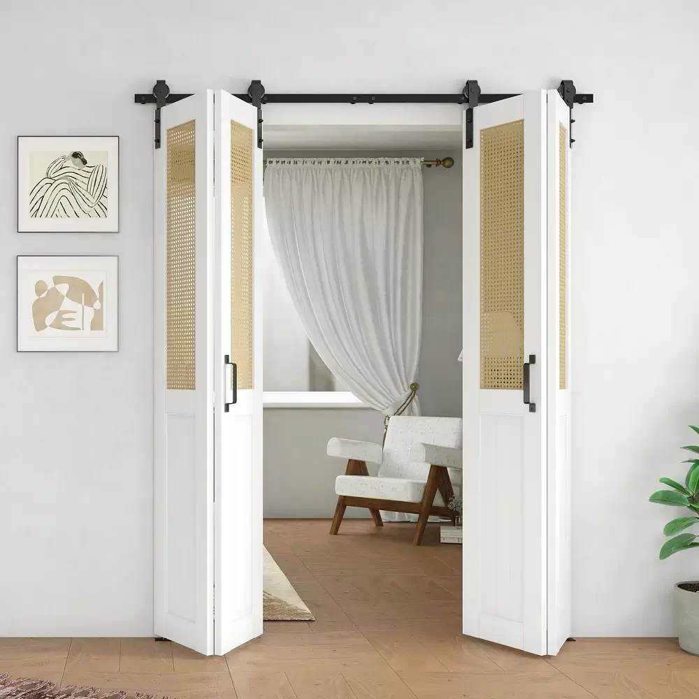 Folding Door