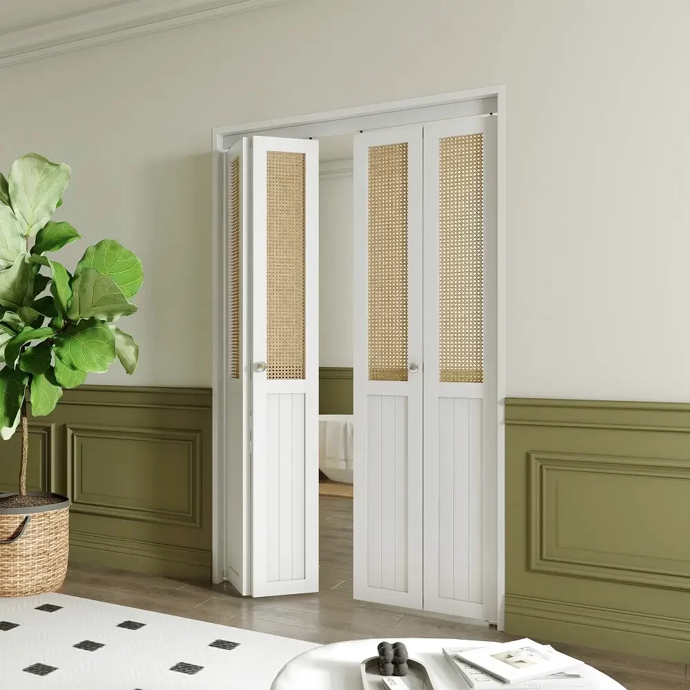 Folding Door